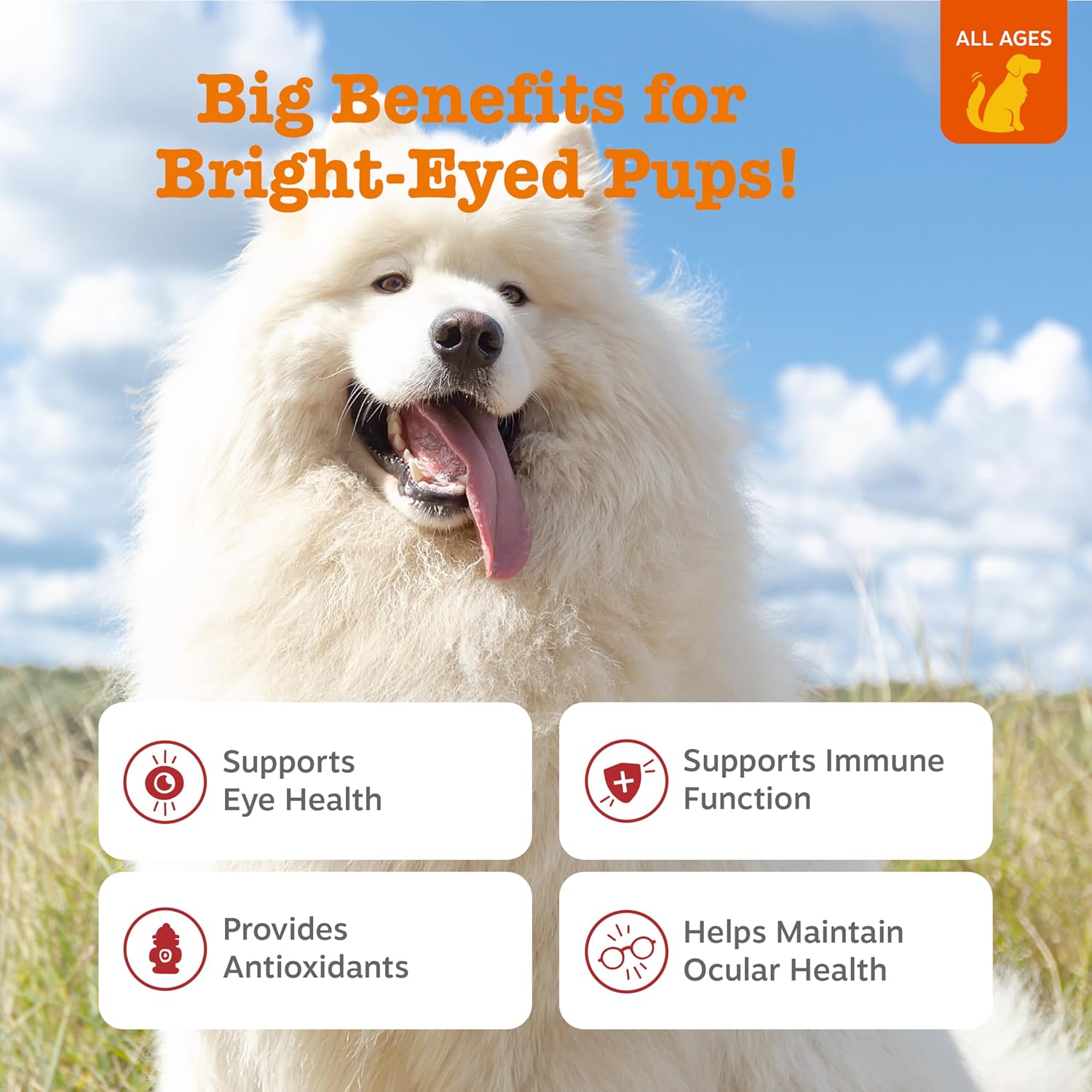 Zesty Paws dog eye supplement chicken flavor 90 count jar side view