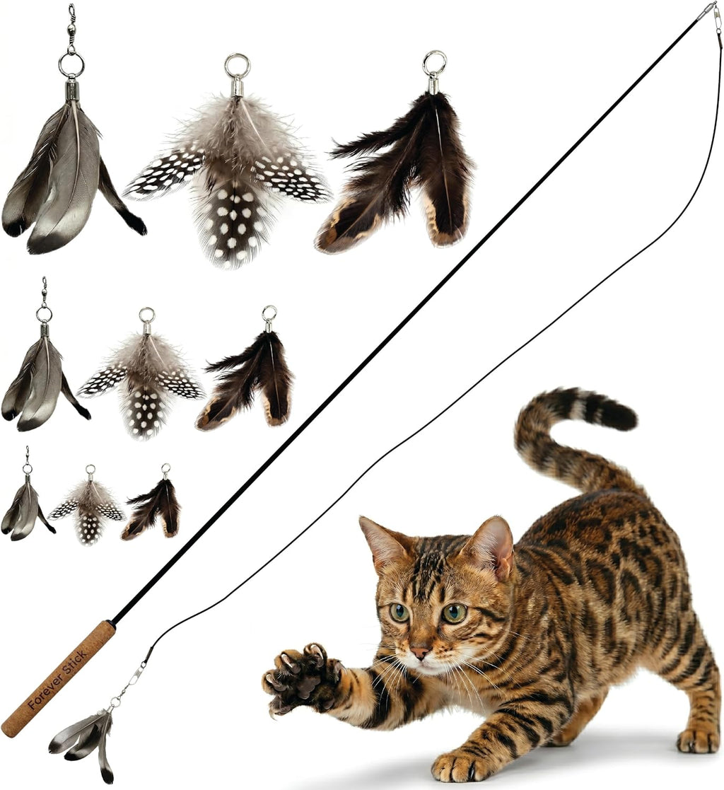 Forever Stick - The Unbreakable Cat Wand Toy, Durable Cat Toy Wand, Extra Long Cat String Toy, Cat Fishing Pole Toy for Bored Indoor Adult Cats, Cat Stick Toy, Cat Feather Wand, Cat Teaser Wand - Image 13