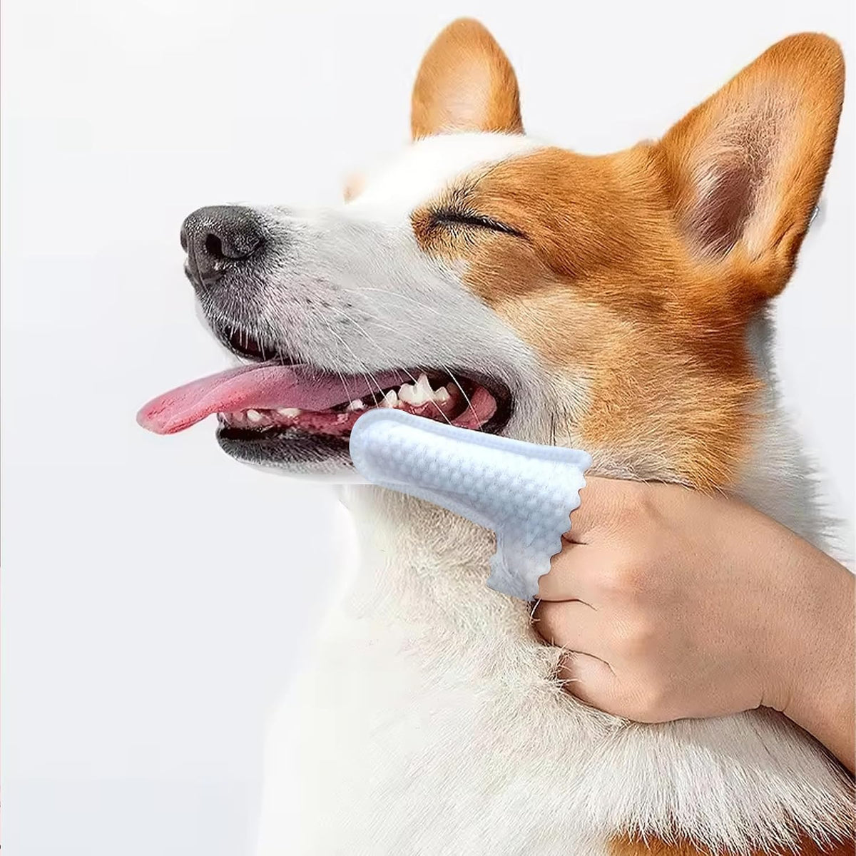Close up of H&H Pets finger wipe texture for dental care
