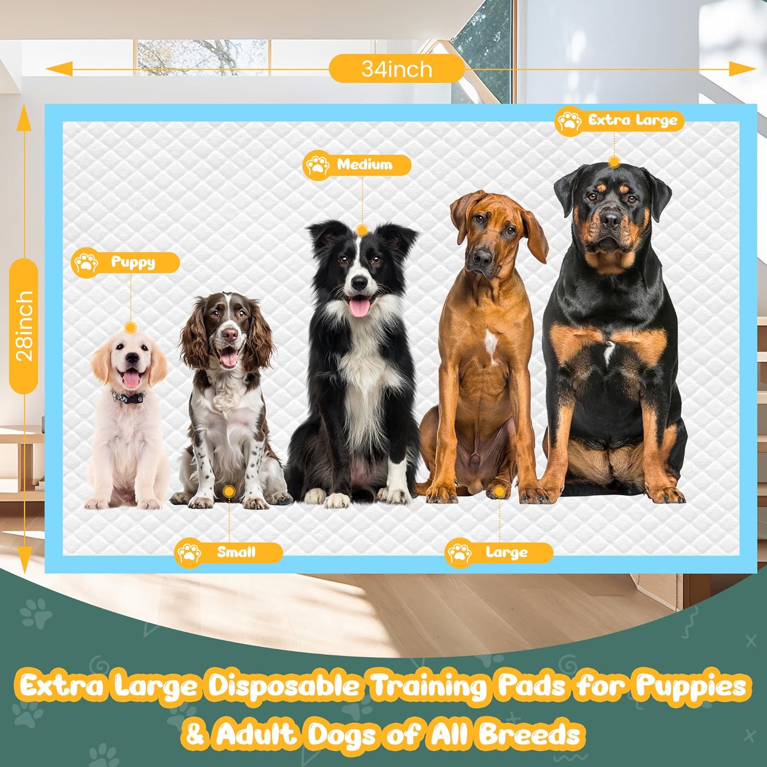 Extra large twenty eight by thirty four inch dog pee pad spread out on an indoor floor.