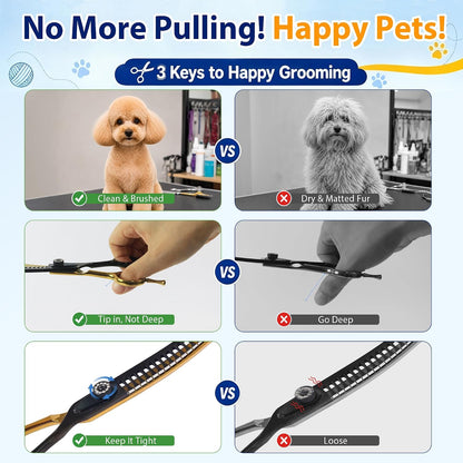 Complete package view of the authentic imported Hyzrqwyw professional dog grooming scissors.