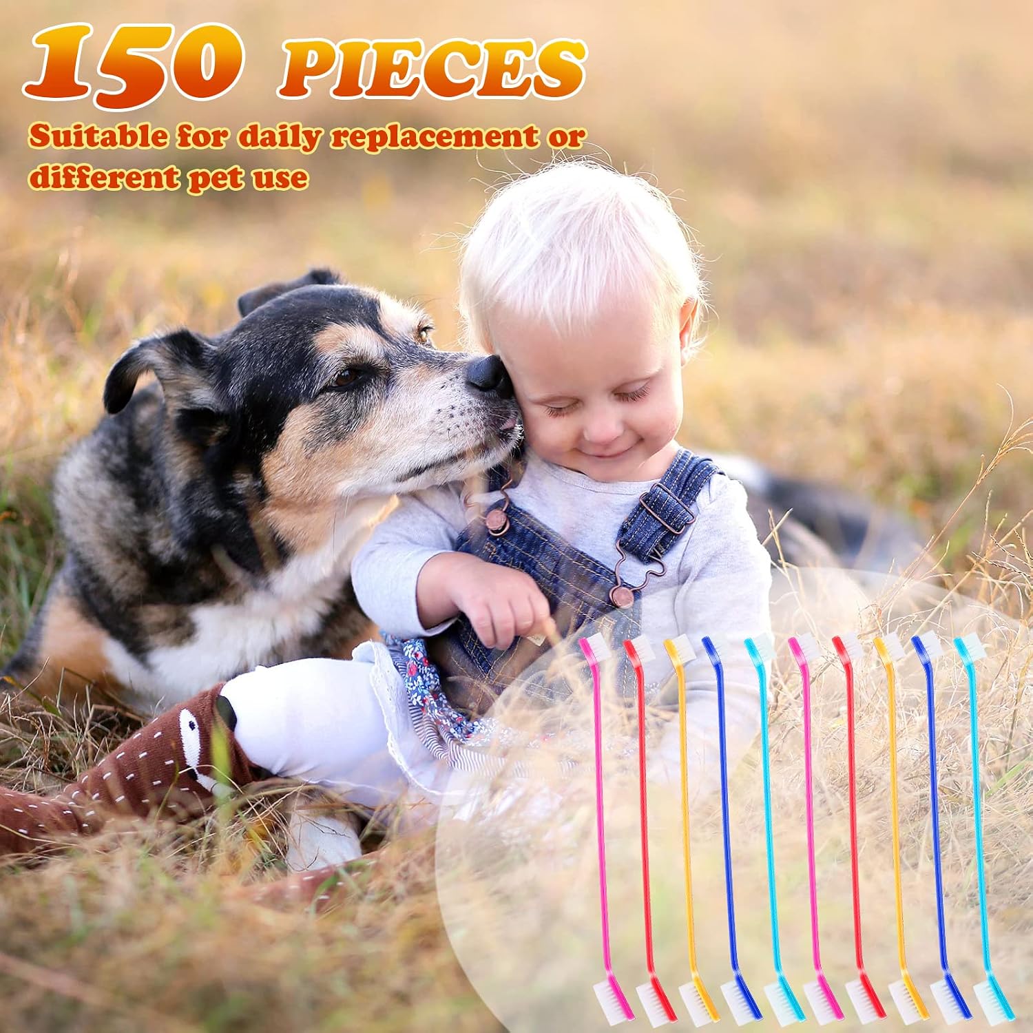 Soft bristle detail of Nuenen pet dental cleaning tool