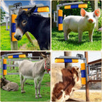 Durable farm animal brush kit for horse and sheep hair carding and massage.