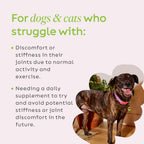 Super Snouts dog and cat hip and joint supplement side packaging details