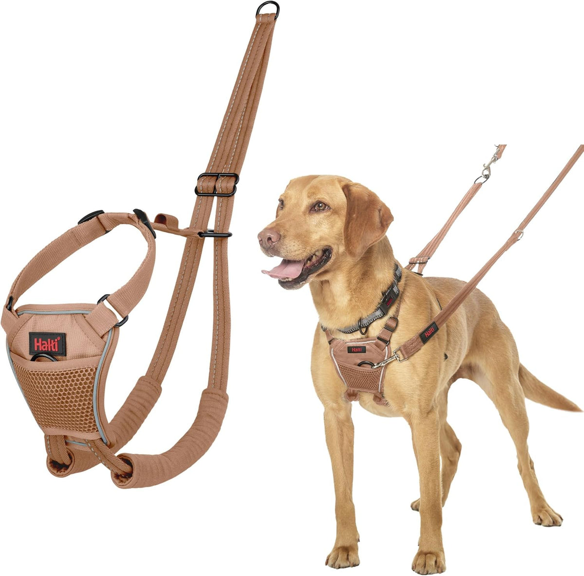 Halti No Pull Harness - Stop Your Dog Pulling on the Leash. Adjustable, Lightweight and Easy to Use. Reflective Dog Training Harness for Medium Dogs (Size M, Black) - Image 15