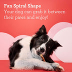 DreamBone easy to digest spiral chews with real chicken