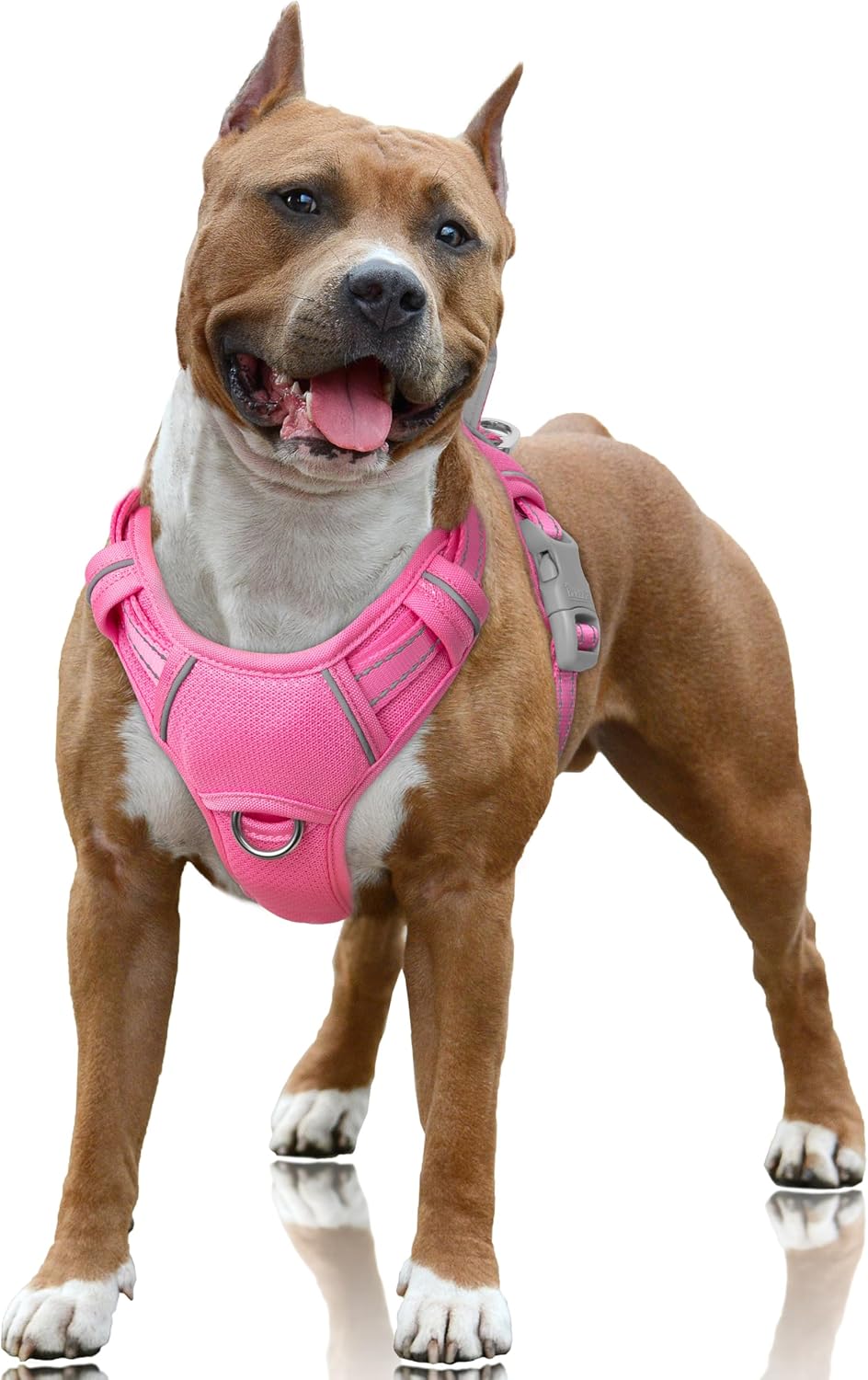 Barkbay No Pull Dog Harness Large in Pink front view with D-ring