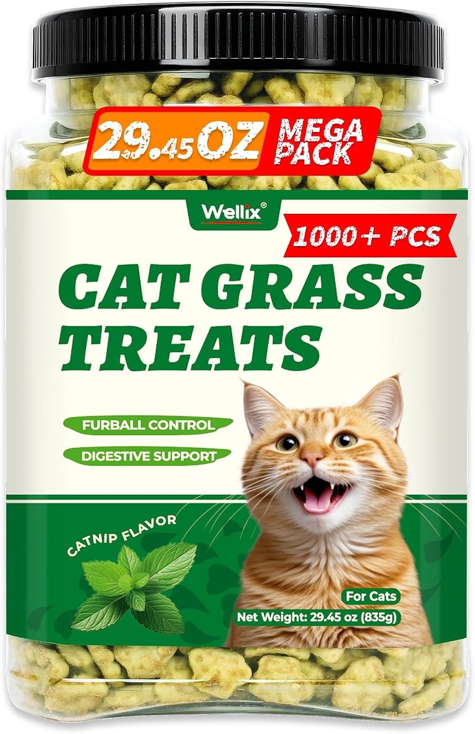 Wellix Cat Grass Treats with Catnip & Salmon - Healthy Cat Treats for Indoor Cats - Hairball Control & Digestive Support - Kittens Training Snacks for Teeth Cleaning 13.05oz - Image 13