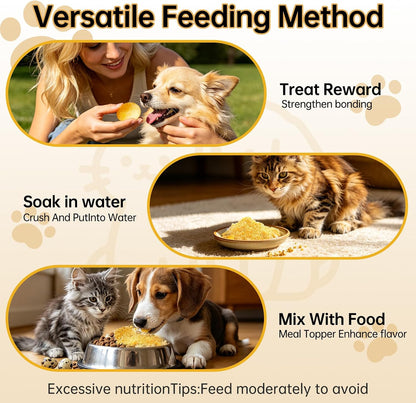Rehydrated quail egg yolk snack for puppies and kittens demonstrating texture variation.