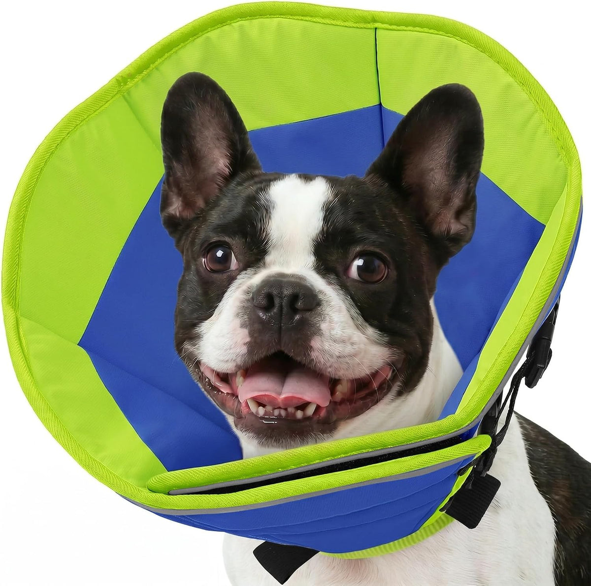 Comparison of AOFITEE soft cone versus rigid plastic collar