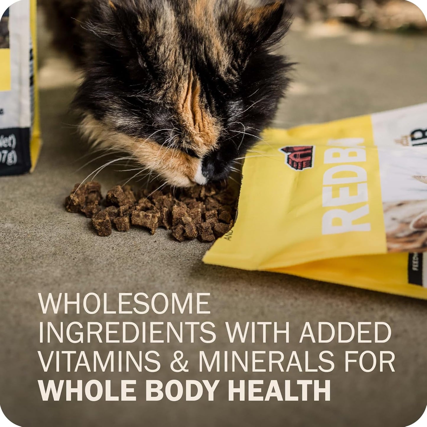 Redbarn cat food 2 pound bag packaging details