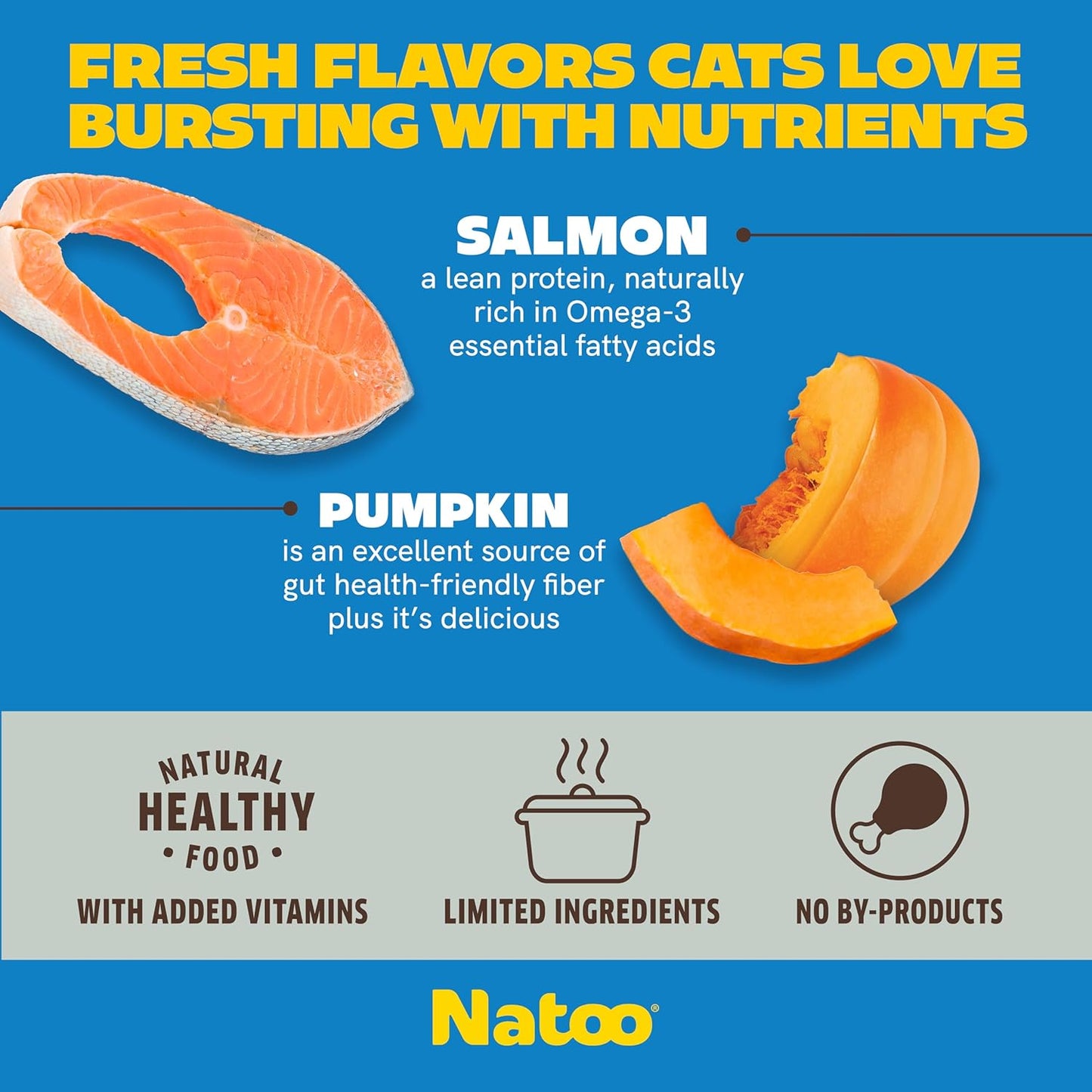 Natoo cat food topper texture with salmon and pumpkin pieces