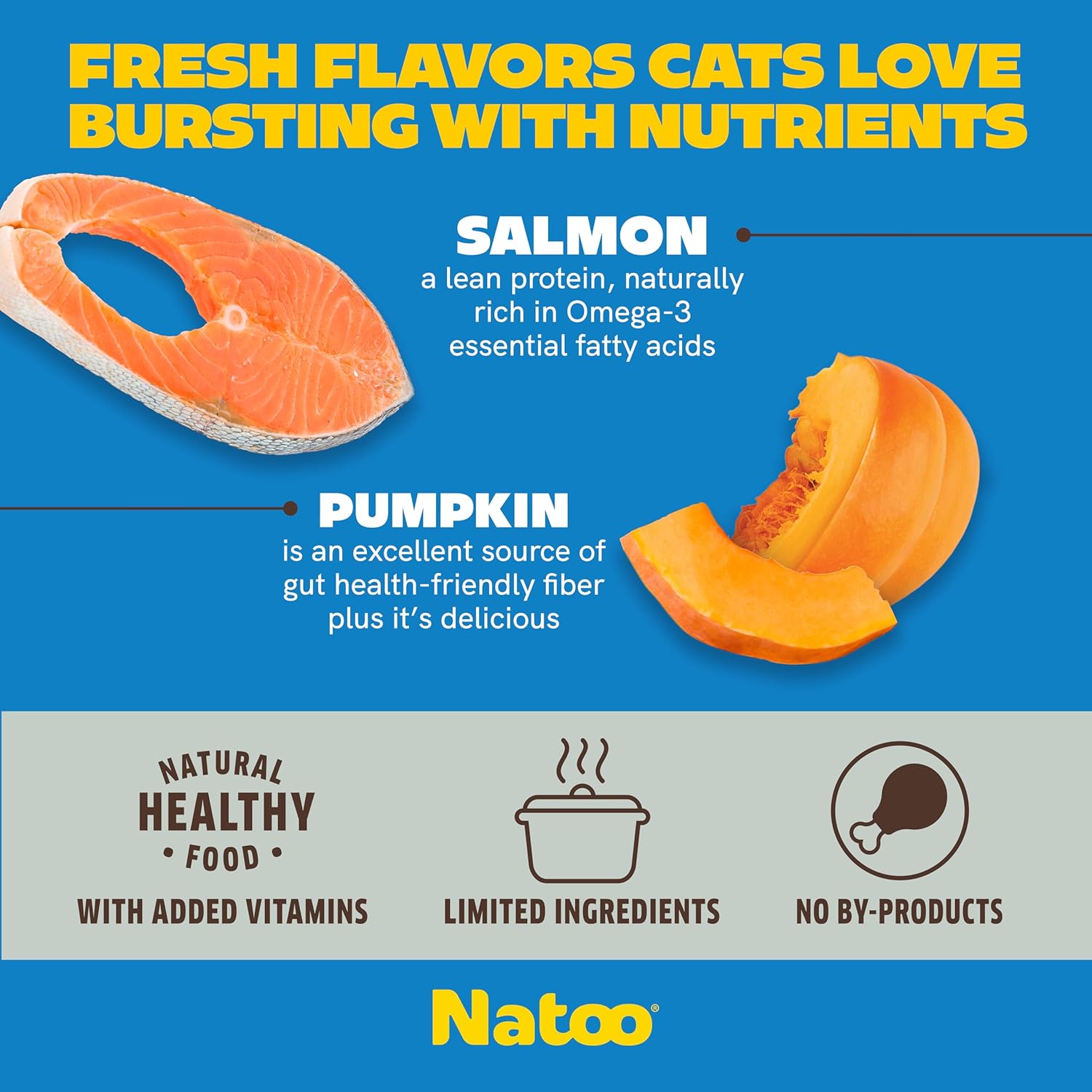 Natoo cat food topper texture with salmon and pumpkin pieces