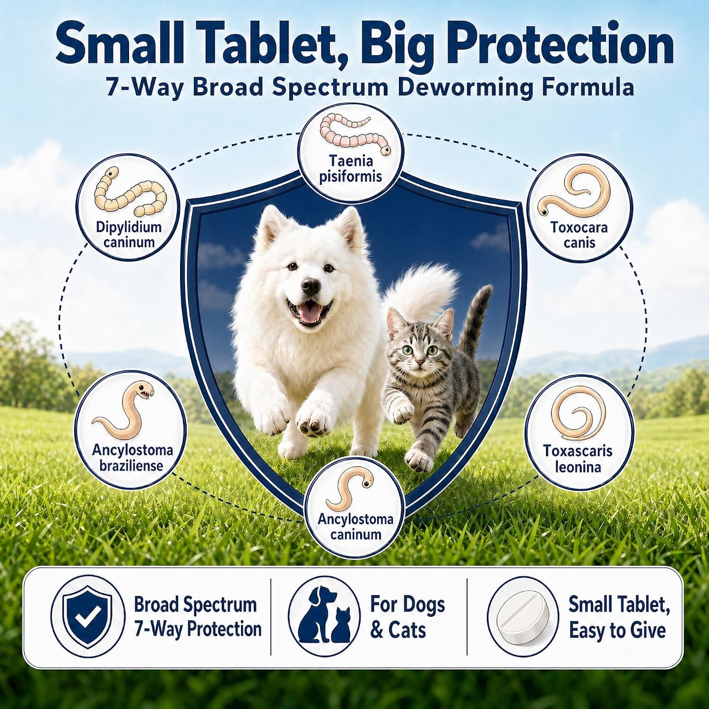 Fenbendazole parasite treatment tablets showing three day course instructions