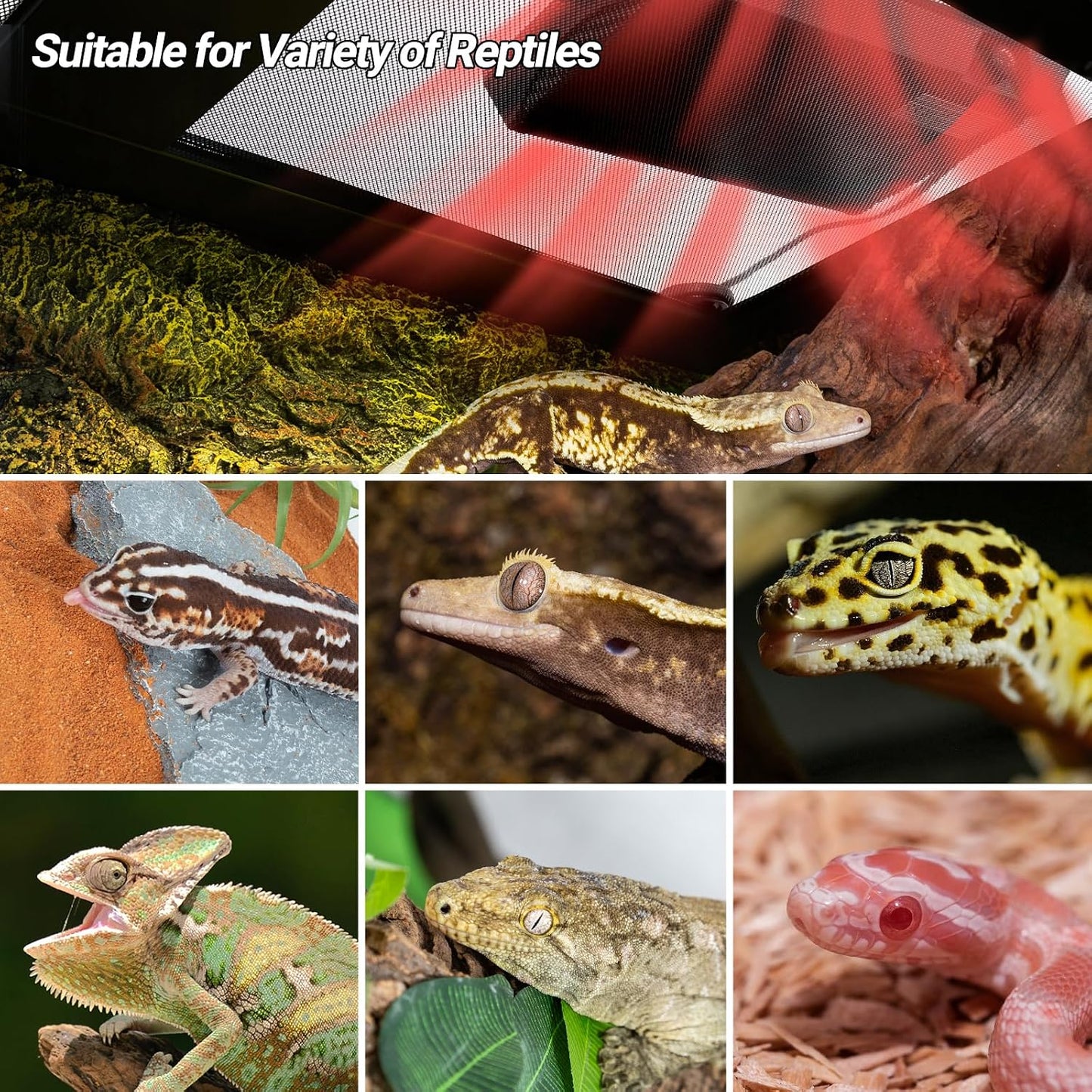 Premium imported REPTI ZOO heating panel packaging overview