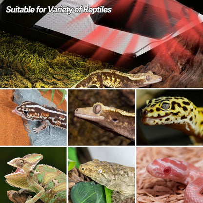 Premium imported REPTI ZOO heating panel packaging overview