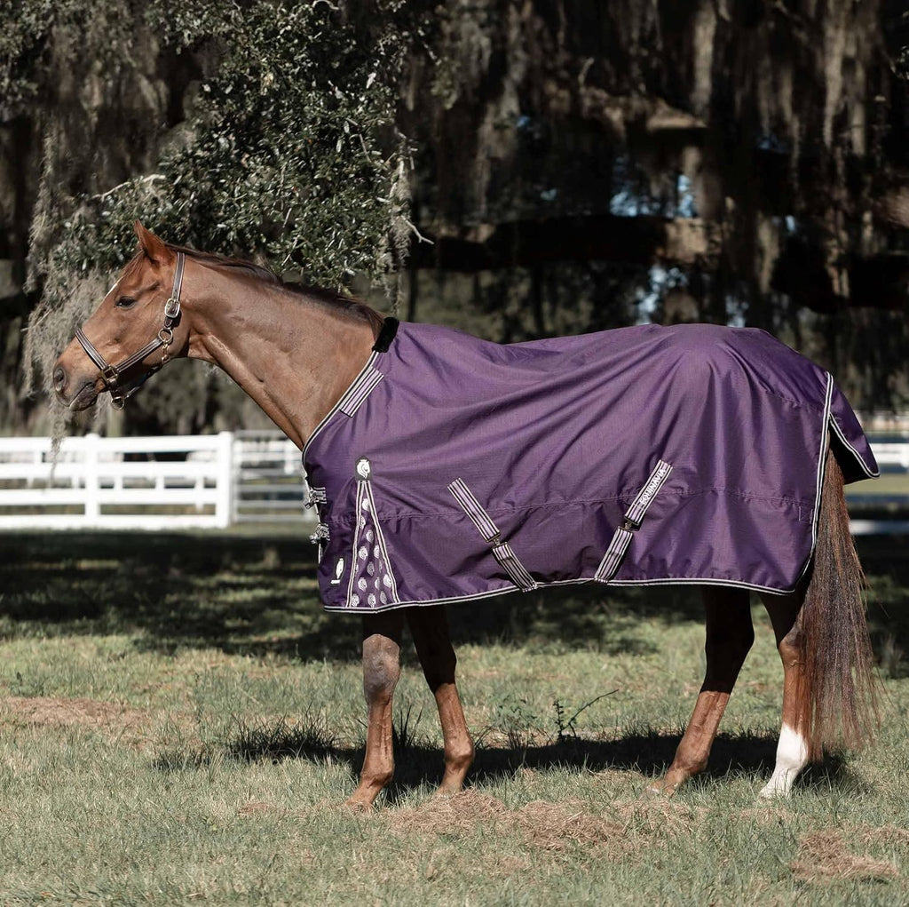 Equinavia Norse 200g Medium Weight Horse Blanket | Waterproof Winter Turnout - Black - 66 in - Black - 69 in - Image 10