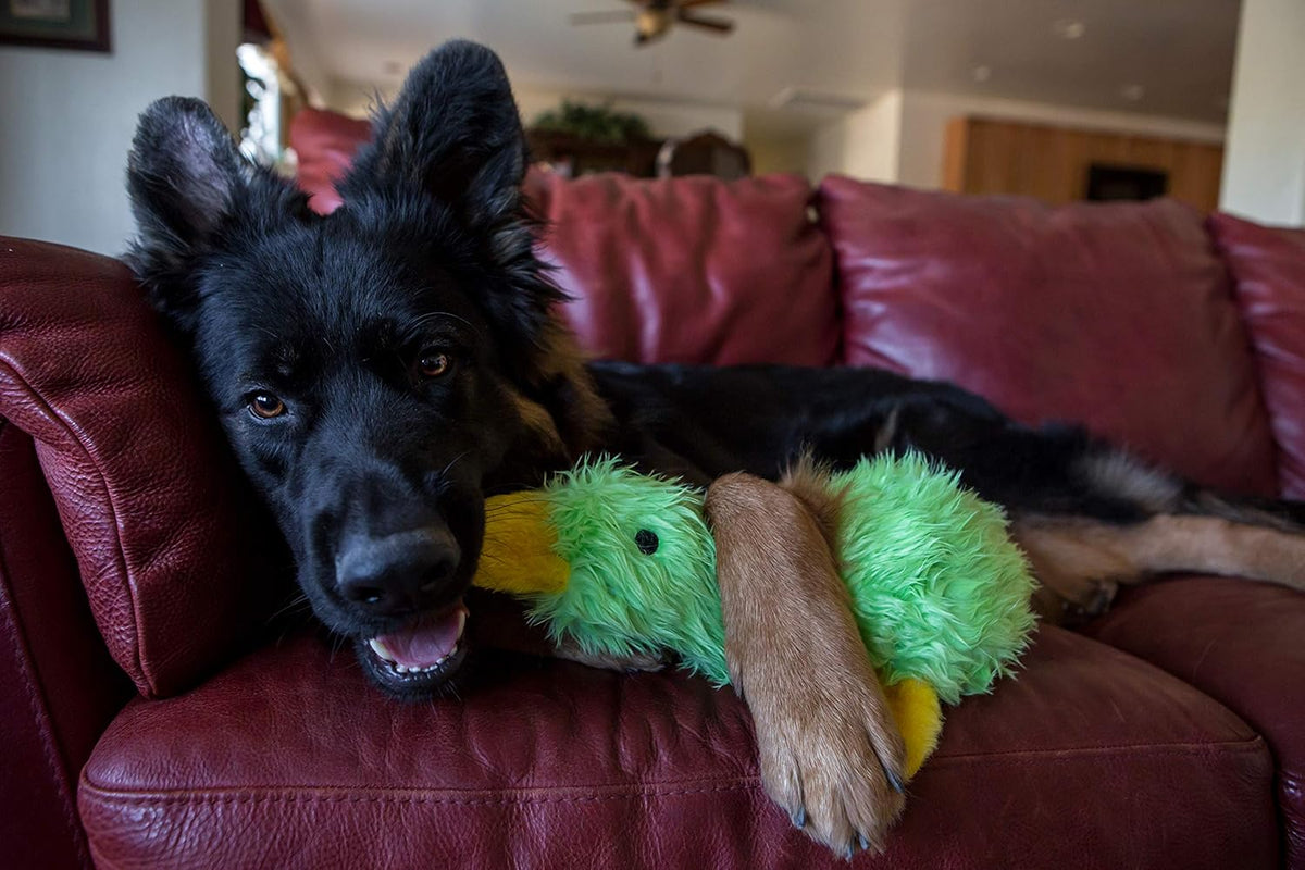 Multipet Duckworth dog toy for fetch and play