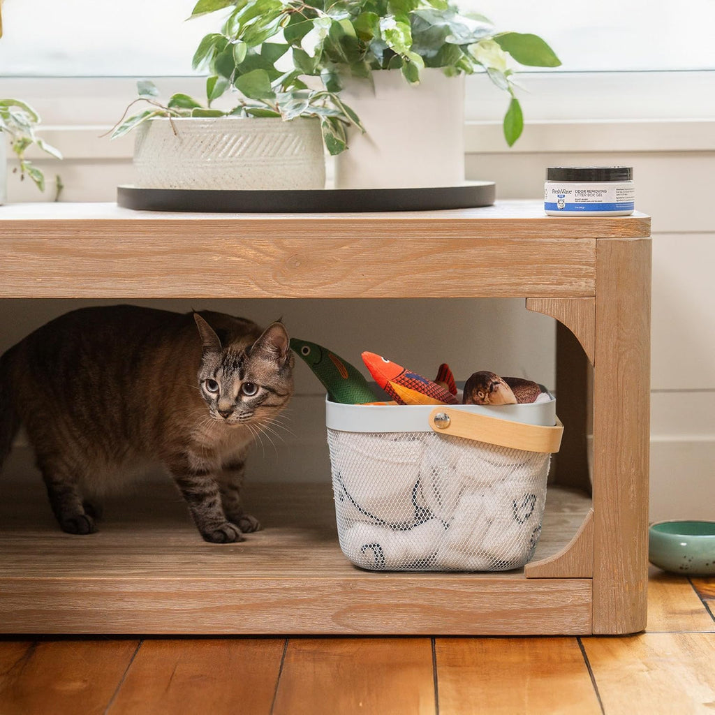 Essential oil based pet room odor neutralizing gel.