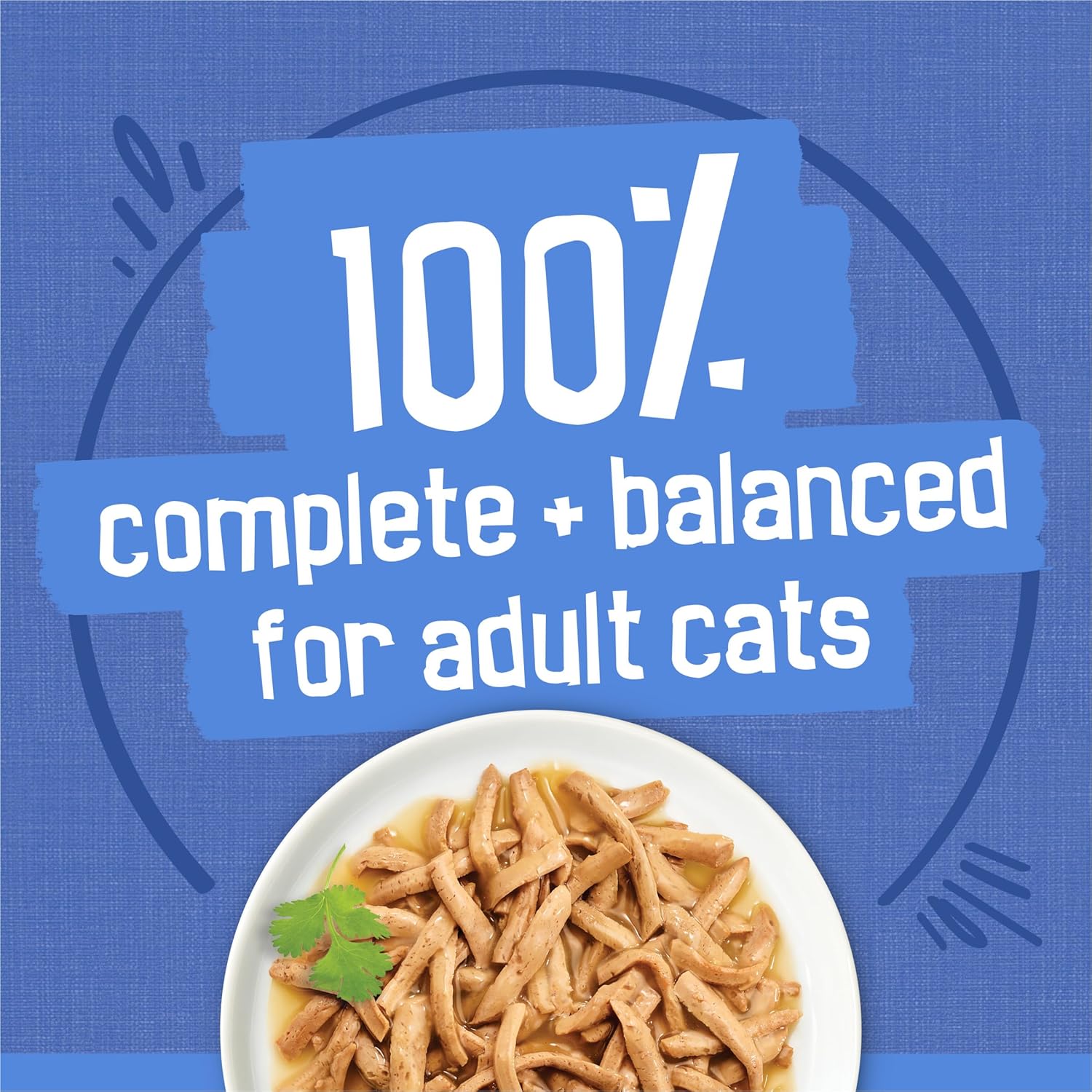 Purina Friskies wet cat food texture in gravy closeup