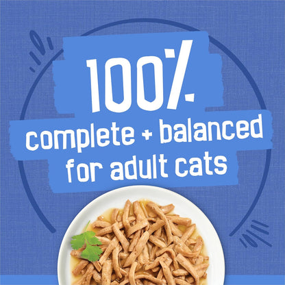 Purina Friskies wet cat food texture in gravy closeup