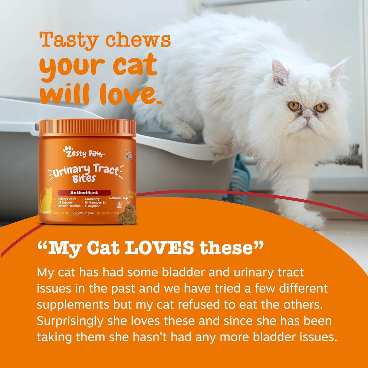 Authentic USA imported Zesty Paws cranberry bladder bites packaging for feline kidney wellness.