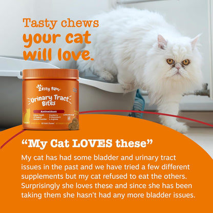 Authentic USA imported Zesty Paws cranberry bladder bites packaging for feline kidney wellness.