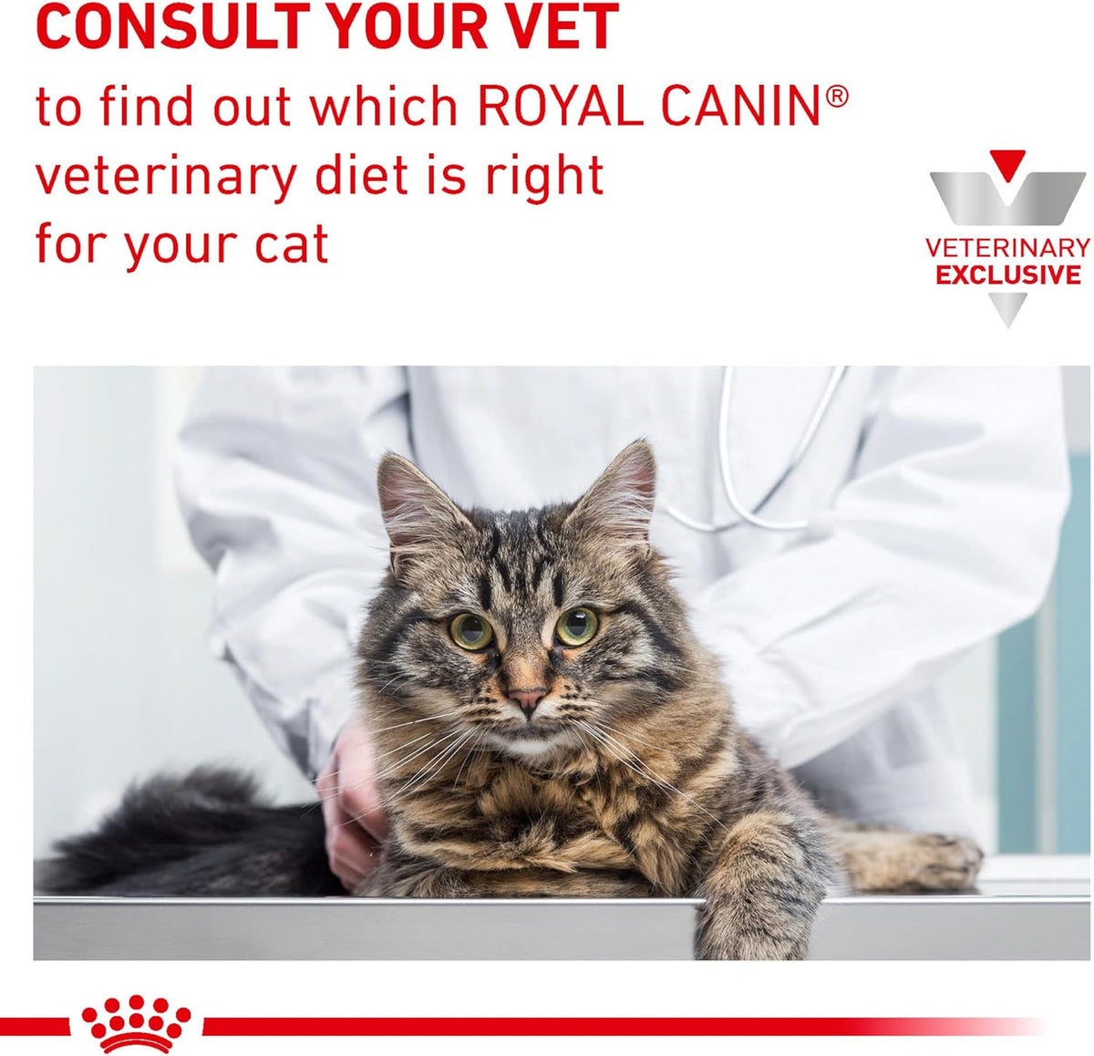ROYAL CANIN Feline Renal Support F Dry (6.6 lb) - Image 12