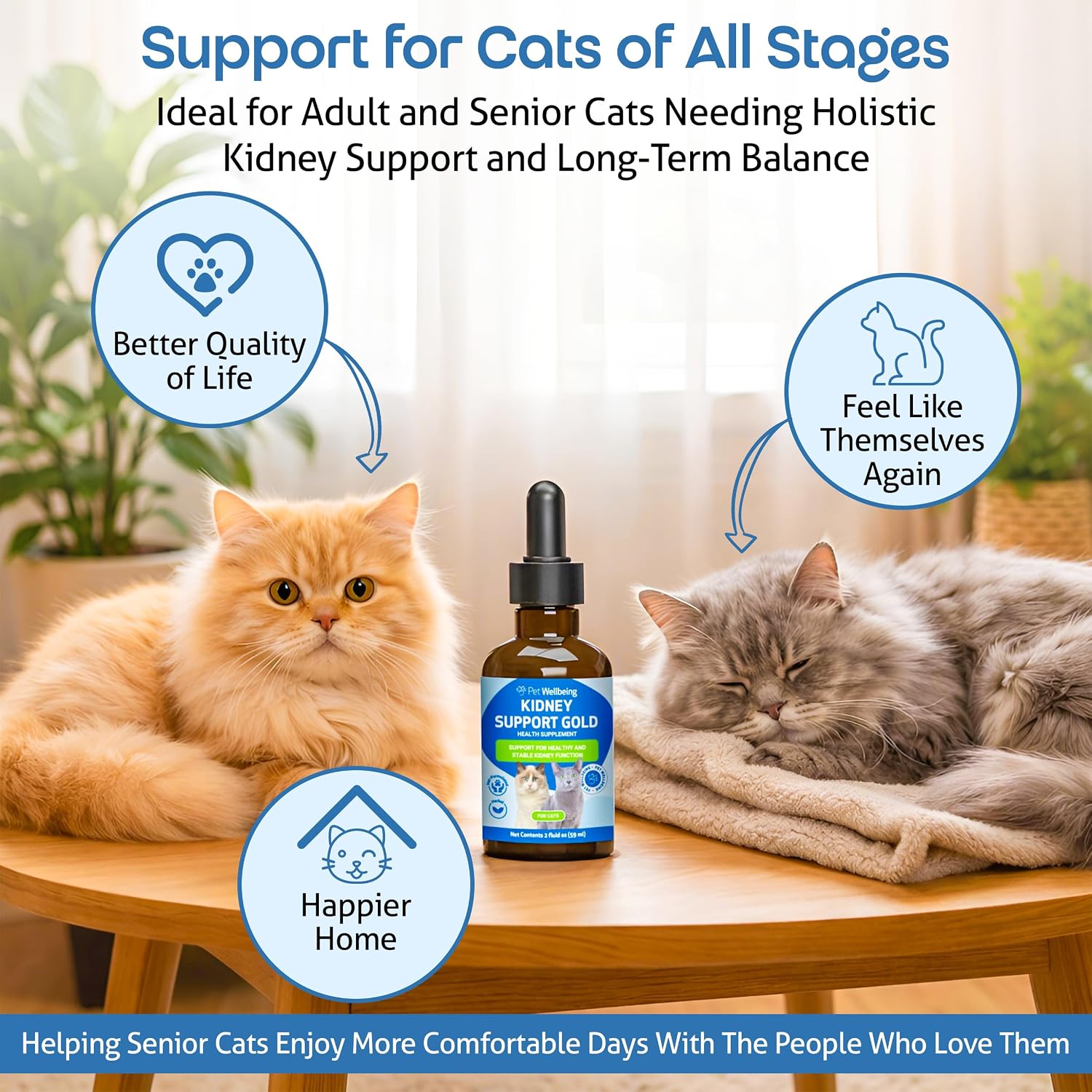 Pet Wellbeing Kidney Support Gold for Cats - Supports Normal Kidney Function & Detox, Healthy Hydration & Energy with Rehmannia & Dong Quai - NASC Certified & Vet-Formulated - 2oz Liquid Formula - Image 9