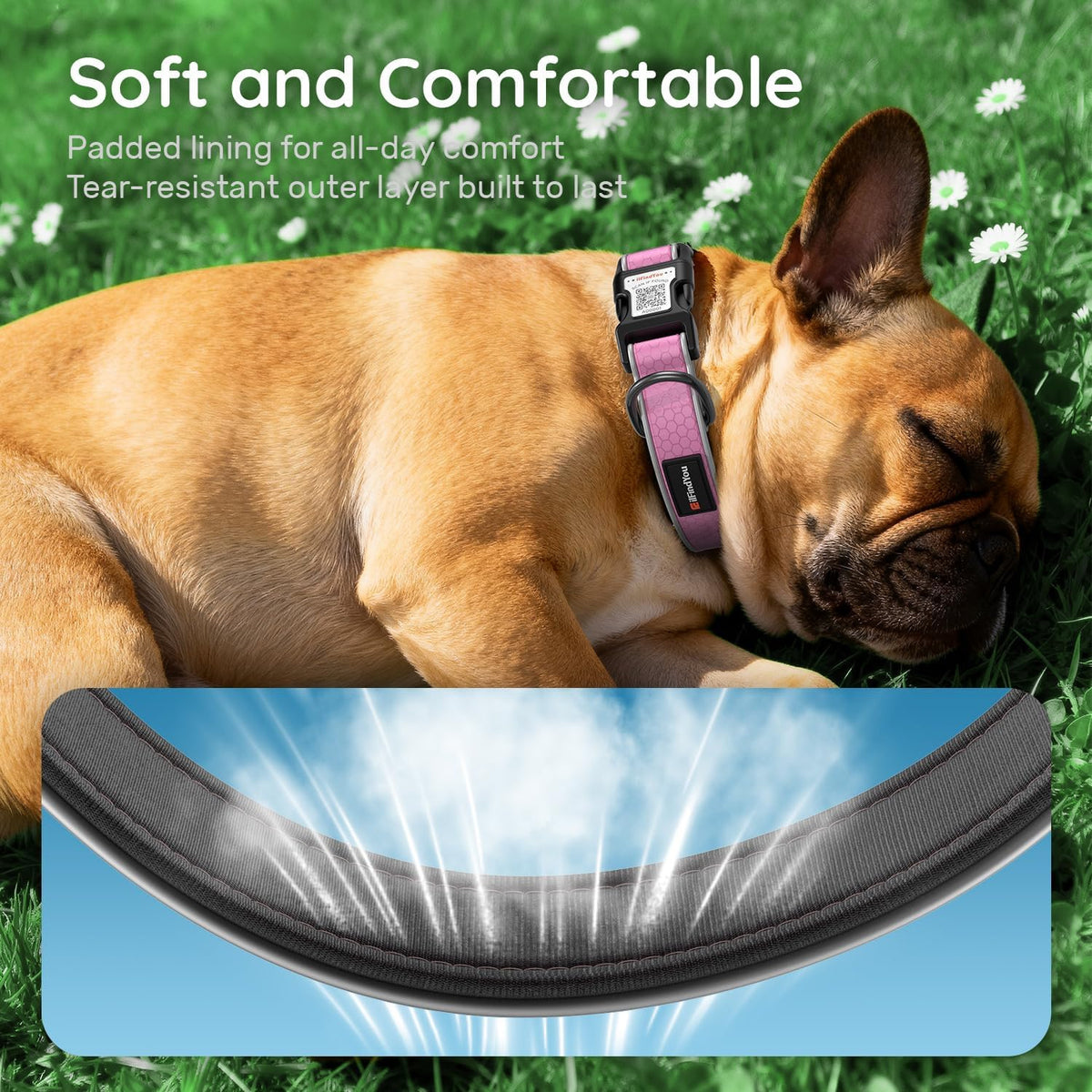 ILFINDYOU pink pet safety collar showing high visibility reflective strips under light