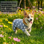 Dog Pajamas for Small Dogs,Dog Surgery Recovery Suit,M | Sensitive Skin,Sun&Outdoor Protection,Anxiety Calming,Shedding Control,Machine Washable,Easy Potty,Soft,Stretchy,Easy Wearing - Image 9