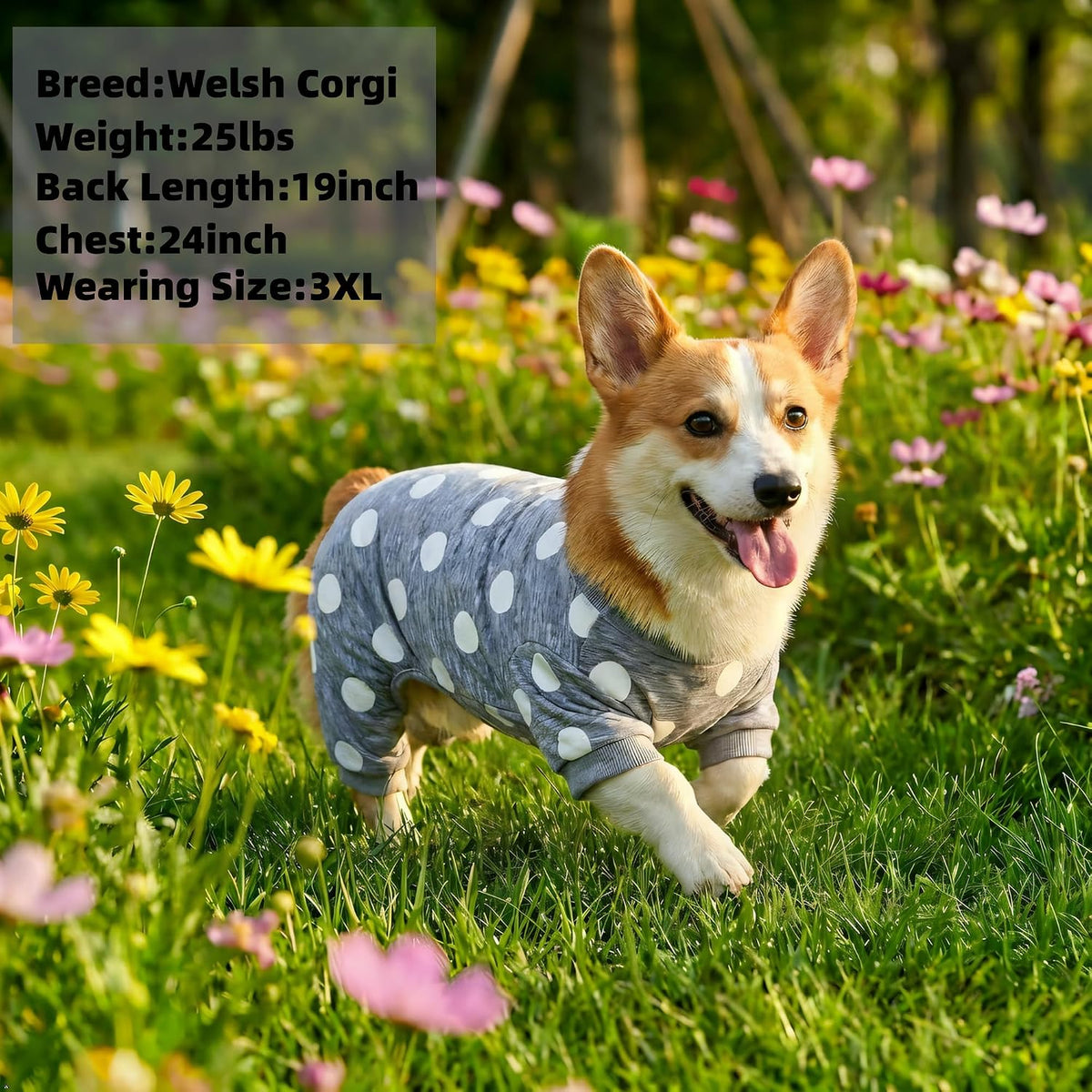Dog Pajamas for Small Dogs,Dog Surgery Recovery Suit,M | Sensitive Skin,Sun&Outdoor Protection,Anxiety Calming,Shedding Control,Machine Washable,Easy Potty,Soft,Stretchy,Easy Wearing - Image 9