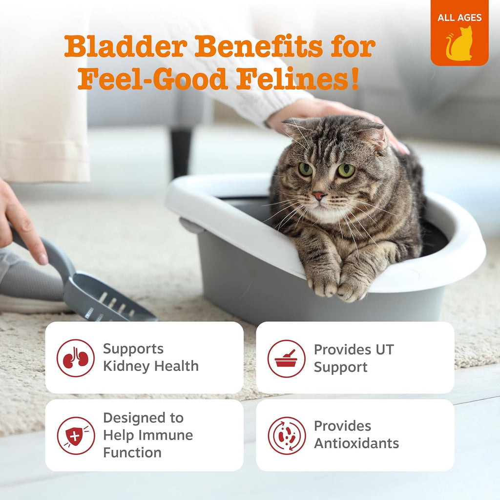 Zesty Paws feline bladder support supplement jar displaying product benefits like D-Mannose and cranberry concentrate.