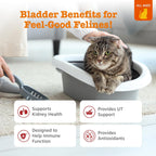 Zesty Paws feline bladder support supplement jar displaying product benefits like D-Mannose and cranberry concentrate.