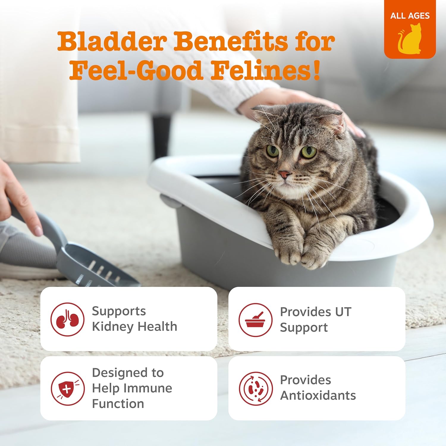 Zesty Paws feline bladder support supplement jar displaying product benefits like D-Mannose and cranberry concentrate.