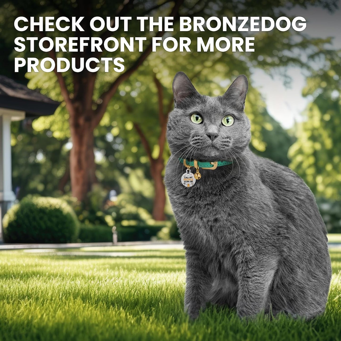 Smart scan to activate pet profile QR code tag on cat collar