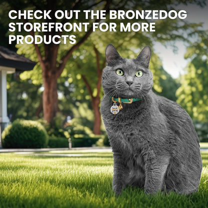 Smart scan to activate pet profile QR code tag on cat collar