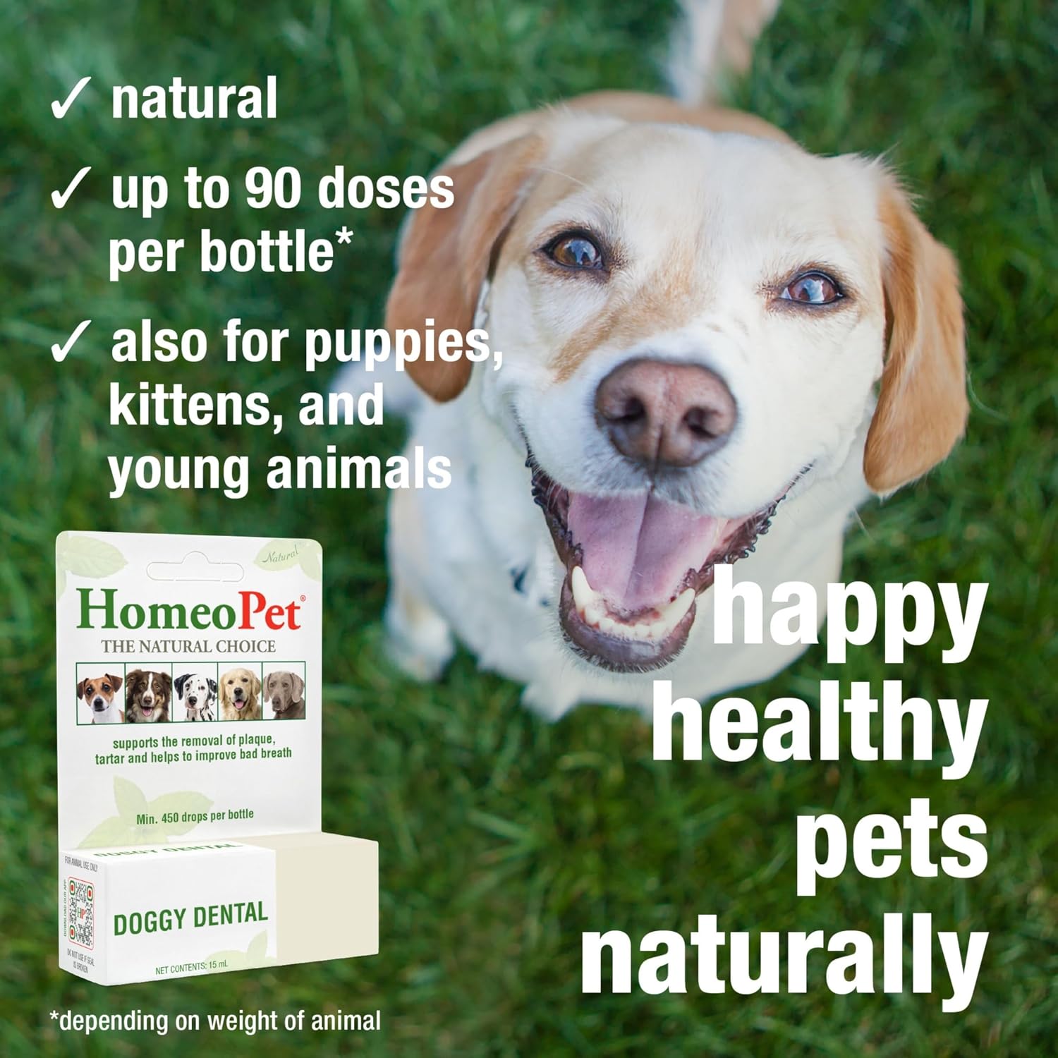HomeoPet Doggy Dental liquid supplement for pet teeth