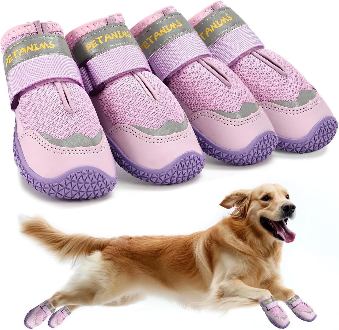 Petanims purple dog shoes size 5 front view for medium dogs