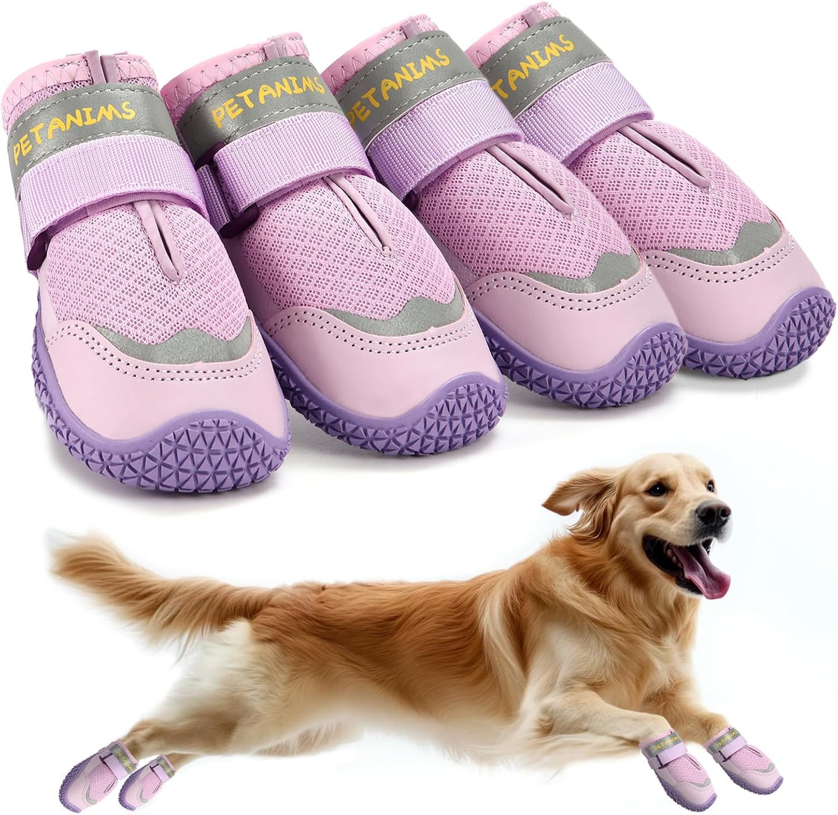 Petanims purple dog shoes size 5 front view for medium dogs