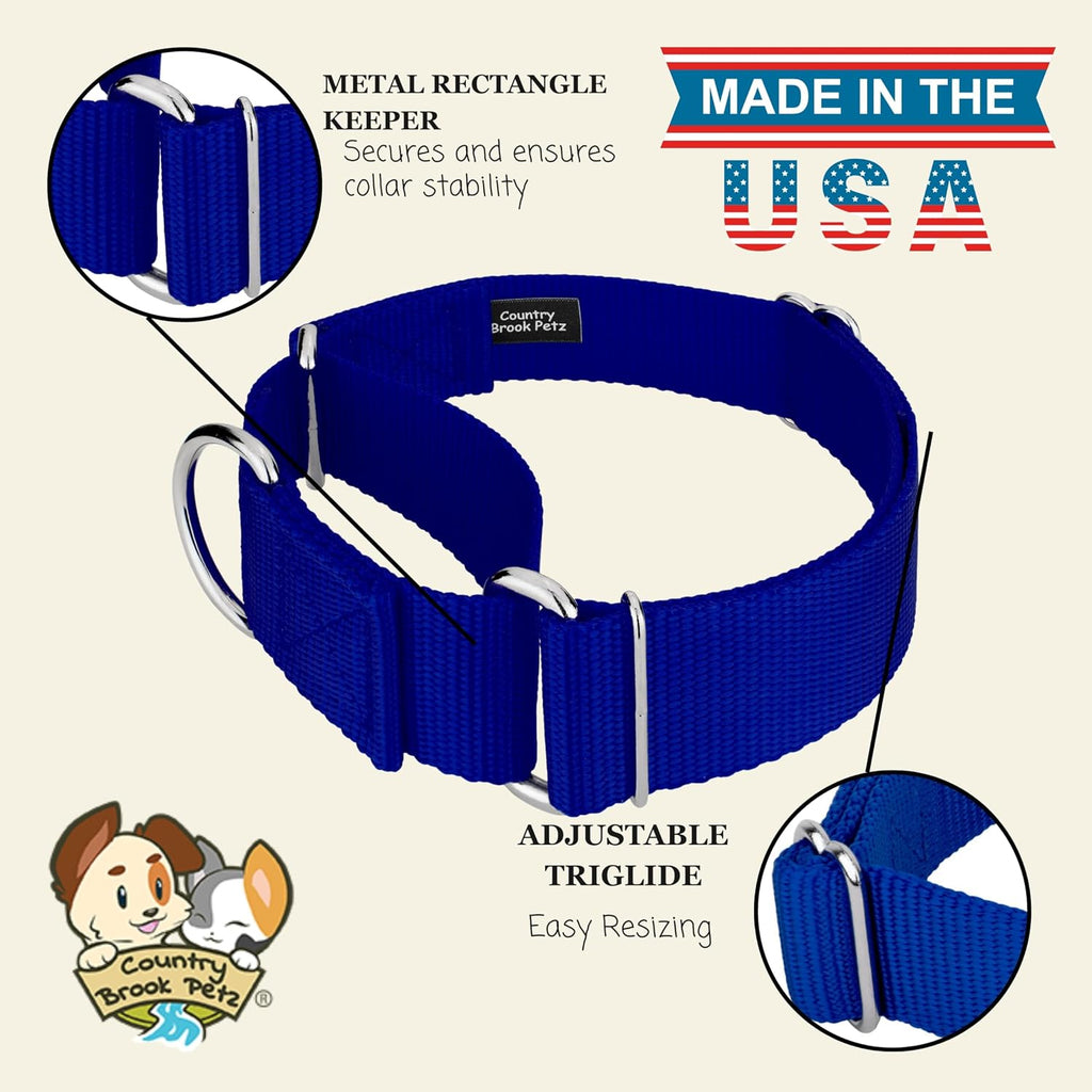 Vibrant royal blue training collar for large dogs showing size adjustment slider