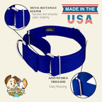 Vibrant royal blue training collar for large dogs showing size adjustment slider