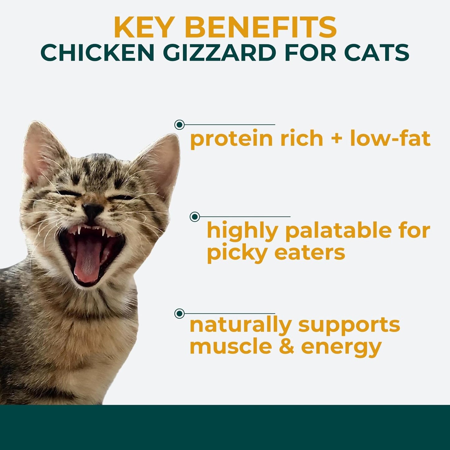 USA imported premium high protein freeze dried treats for cats