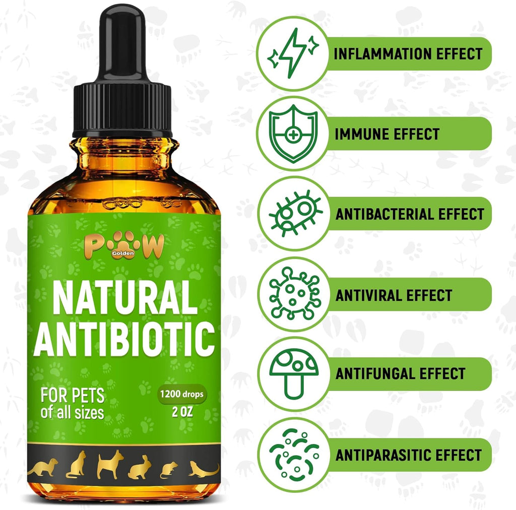 Golden Paw herbal pet drops showing the dropper applicator and product clarity