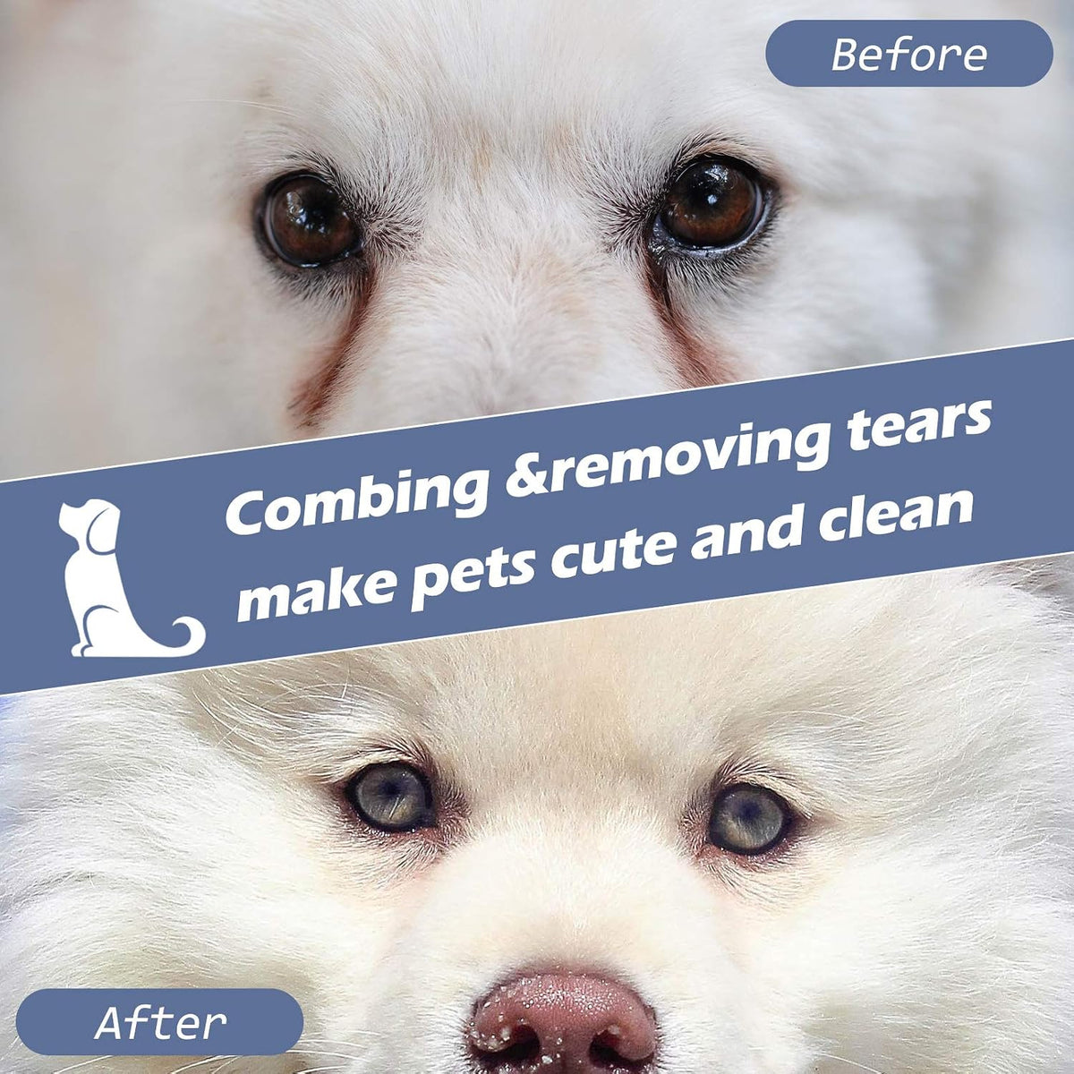Patelai pet comb removing crust from small dog eye area