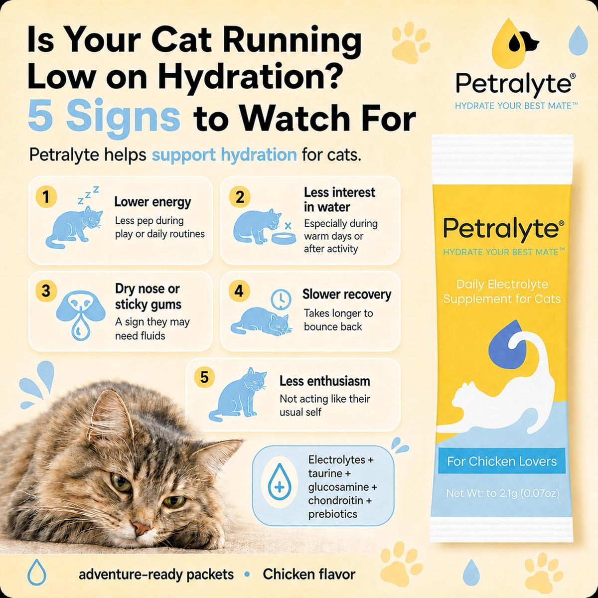 Close up of Petralyte prebiotic and electrolyte blend for cat digestive wellness