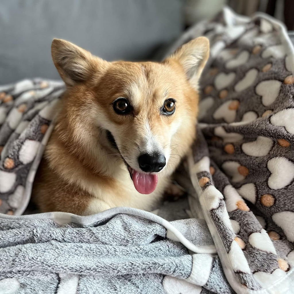 Sorkut flannel pet throw blankets featuring cute star bone and love designs.