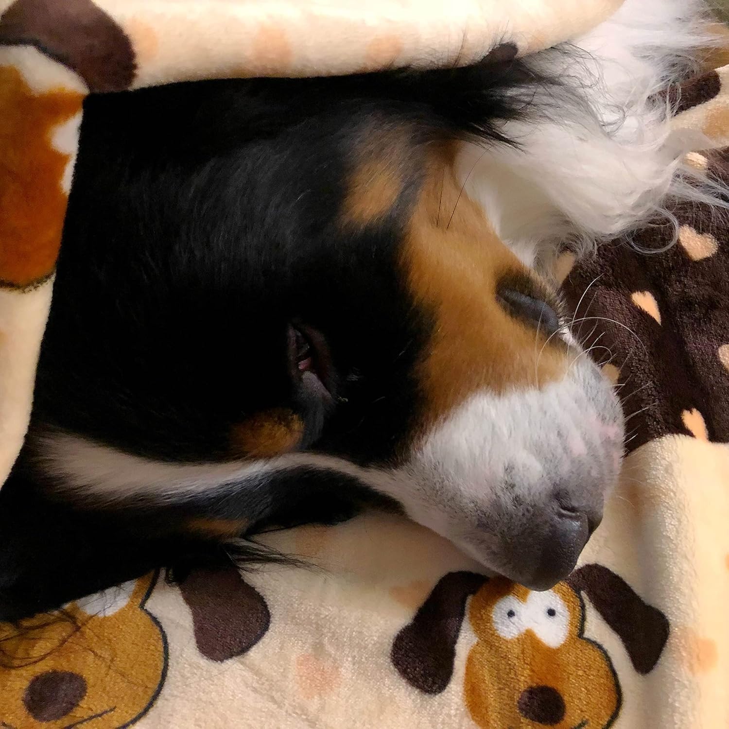 Snuggle Puppie machine washable puppy blanket covering a living room couch to catch shedding hair