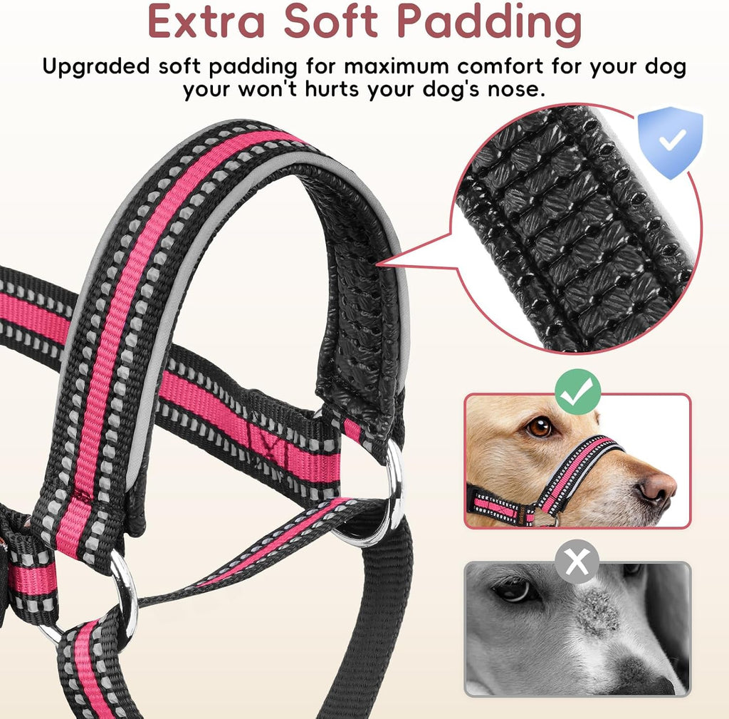 Barkless anti pull head halter showing reflective padding material