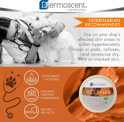 Dog paw treatment balm for hyperkeratosis and dry skin